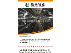 9CLXY-4288育雏育成鸡设备图1