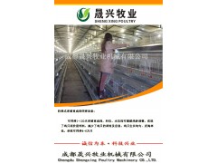 9TLXY-4240型育雏育成鸡设备图1