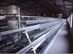 9TLXZ-390型人工授精种鸡设备图1