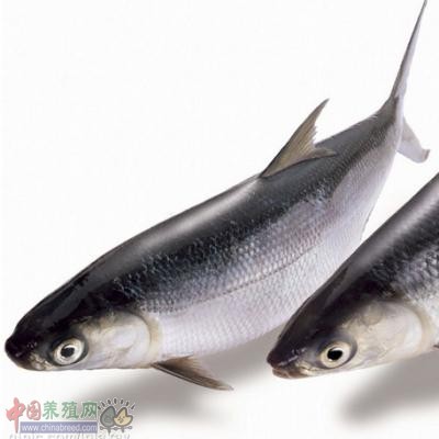 QQ截图20141223161717.png