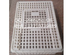 厂家大量供应大鸡筐 鸡用周转箱 运输箱价格 周转箱图片价格图2