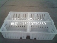 养殖专用鸡苗周转筐 小鸡箩 幼鸡周转篮生产厂家价格图1