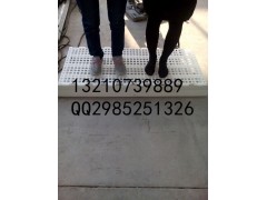 养鸡专用漏粪板肉鸡用漏粪板厂家供应图3