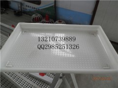 哪里有卖开食盘厂家价格雏鸡方形开食盘制做图1