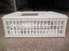 成鸡周转筐 大鸡周转筐 肉鸡运输筐塑料运输筐价格图片图1