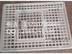 成鸡周转筐 大鸡周转筐 肉鸡运输筐塑料运输筐价格图片图2