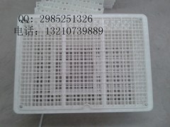 结实塑料大鸡周转筐拉鸡塑料笼子鸡鸭兔运输笼图3