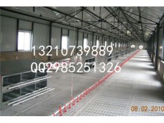新型加固塑料漏粪板鸡鸭用漏粪板厂家直销图3