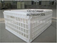 提供大鸡周转筐尺寸成鸡运输筐图片周转箱生产厂家图1