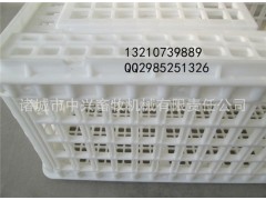 注塑产品方形白色塑料周转箱大鸡运输箱成鸡运输箱图1