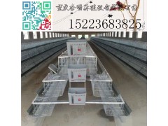 鸡笼 养殖设备 蛋鸡笼 阶梯式蛋鸡笼 层叠式蛋鸡笼图1