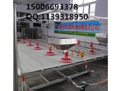 供应 鸡鸭鹅塑料漏粪地板   塑料羊漏粪地板图1