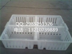 小雏鸡运输笼尺寸 坚固耐用小鸡周转箱生产厂家图2
