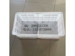 蔬菜水果运输筐尺寸海鲜筐海产品筐子图片多用储物筐公司图1