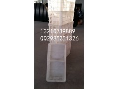 蔬菜水果运输筐尺寸海鲜筐海产品筐子图片多用储物筐公司图2