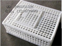 厂家批发兔子运输笼尺寸成鸡运输箱材质规格图1
