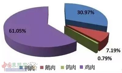 jia4.jpg