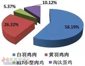 jia5.jpg