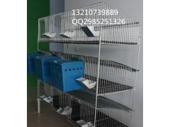 商品兔笼，肉兔笼，长毛兔笼，獭兔笼生产公司图1