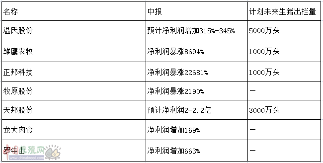 雏鹰.png