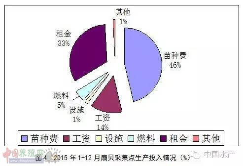 sb6.jpg