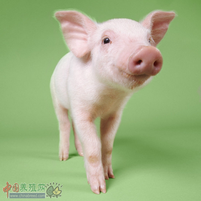QQ截图20141119103329.png