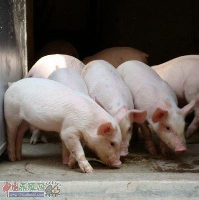 QQ截图20141119103525.png