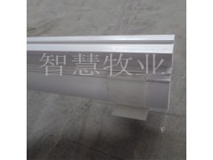 导尿管图1