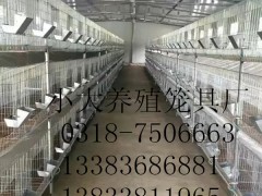 简介：