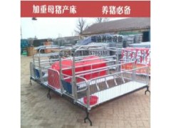 母猪产床图1
