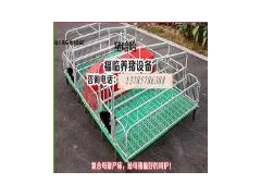 母猪产床图1
