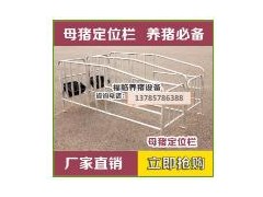 升级加重限位栏-定位栏 母猪定位栏图1