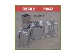 母猪电子饲喂站图1
