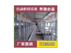 自动料线设备图1