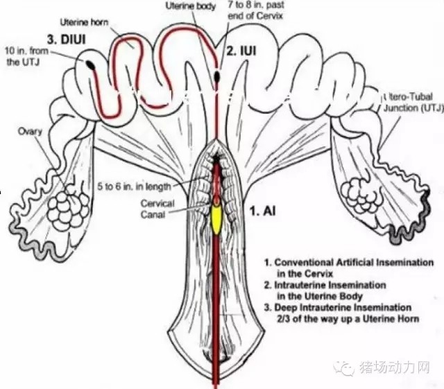 640.webp (12).jpg