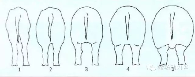 640.webp (9).jpg