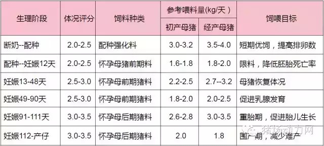 0c739be50ee0043d608baeffb68cfa46.jpg