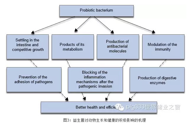 QQ截图20160219124723.jpg