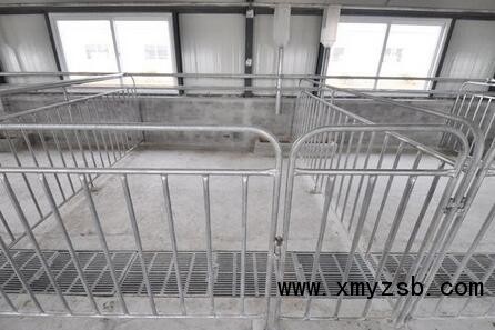 养猪：建设一个现代化养殖场须购哪些设备？想当老板怎能不看！