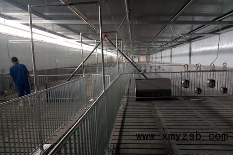 养猪：建设一个现代化养殖场须购哪些设备？想当老板怎能不看！
