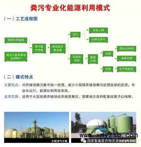 目前国内畜禽粪污资源化利用拥有哪些典型模式？