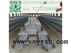蛋鸡笼 养殖设备 阶梯蛋鸡笼 层叠蛋鸡笼图1