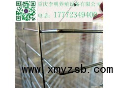 蛋鸡笼 养殖设备 阶梯蛋鸡笼 层叠蛋鸡笼图3