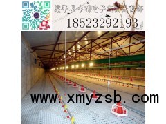 料线 养殖设备 养殖自动喂料系统 肉鸡料线 蛋鸡料线图3