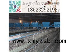 自动喂料机 养殖设备 行车式自动喂料机 龙门式喂料机图2