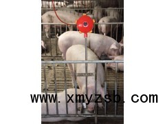 猪用水位计、水位控制器、水位控制仪器节水省水图1