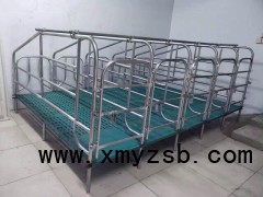 母猪限饲栏图1
