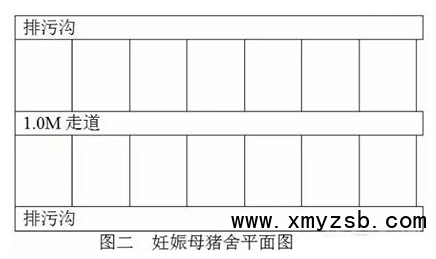 规模猪场建设，你有没有忽视这些细节呢？