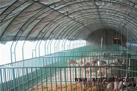 养猪大棚怎么盖 养猪大棚建设