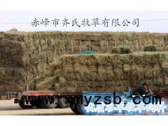 现货供应牛羊马等畜牧冬季草料草块饲料玉米豆类秸秆草块图1
